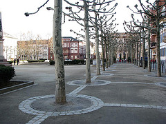 *Wiesbaden*