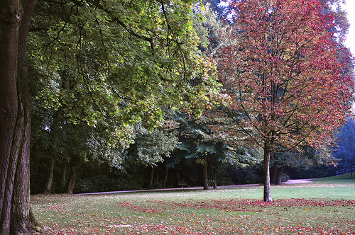 *jogging*Park*