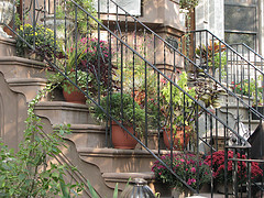 unser Viertel: Park Slope