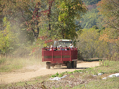 apple picking in New Jersey