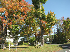 apple picking in New Jersey