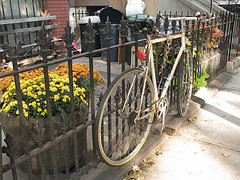 unser Viertel: Park Slope