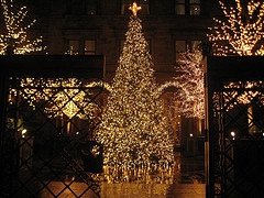 *Ami*Weihnachtsbaum*