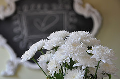 *Gen*Blumen*