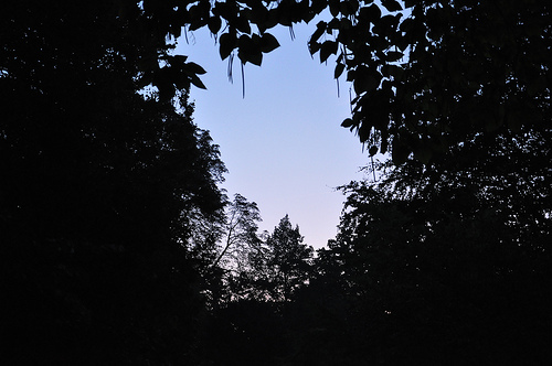 *Morgengrauenshooting*4*