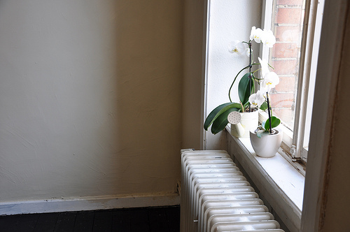 *Wohnzimmer*