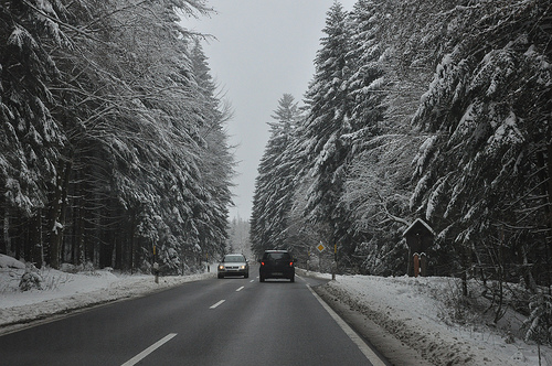 *Bayrischer*Wald*