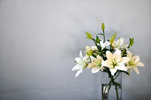*oh*herrliche*Lilien*