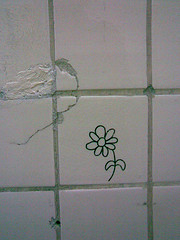 *Blume*