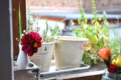 *schönes*zu*Hause*