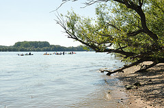 *Schwalbentour*an*den*Rhein*